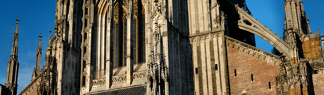 Ulmer Münster - Gigapixeled