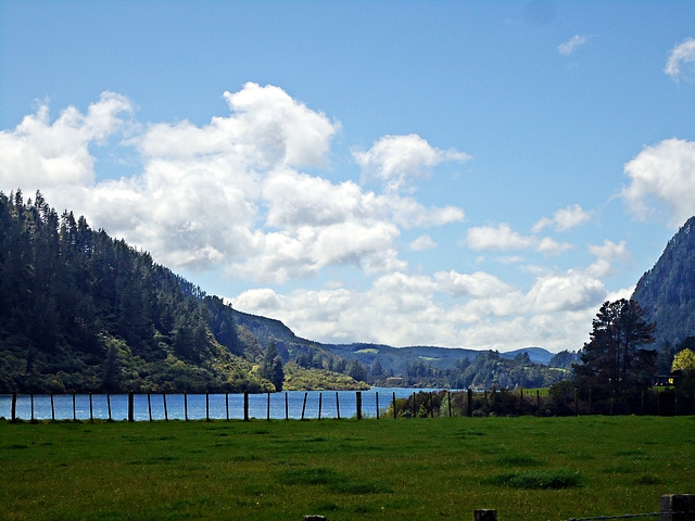 Around Lake Whakamaru