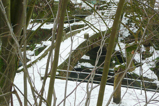 30.1.2009 - Eis und Schnee im Liebethaler Grund