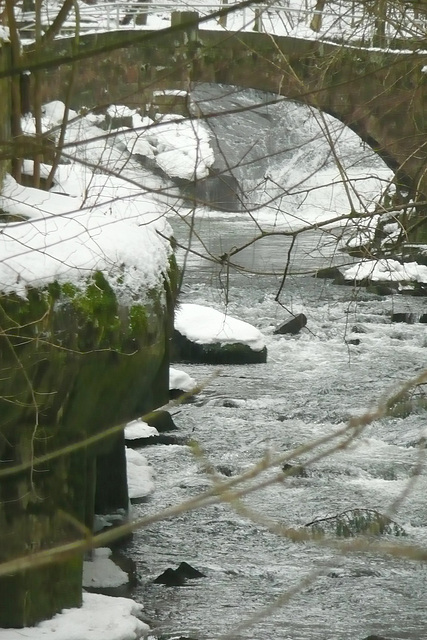 30.1.2009 - Eis und Schnee im Liebethaler Grund