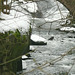 30.1.2009 - Eis und Schnee im Liebethaler Grund