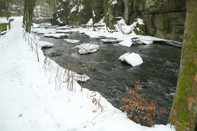 30.1.2009 - Eis und Schnee im Liebethaler Grund