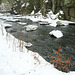 30.1.2009 - Eis und Schnee im Liebethaler Grund