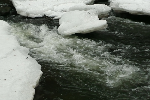 30.1.2009 - Eis und Schnee im Liebethaler Grund