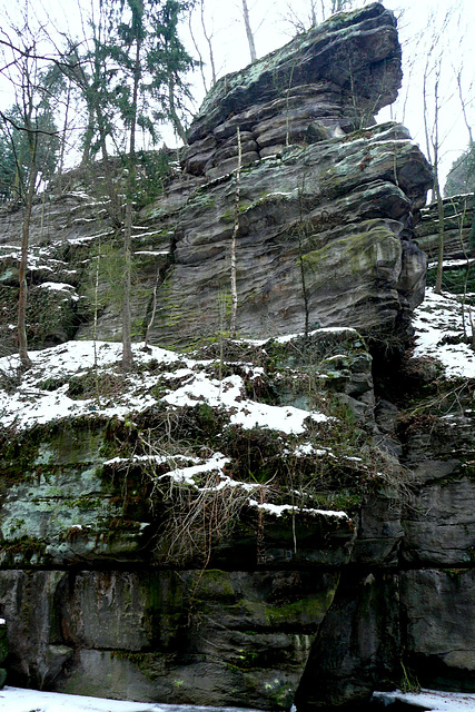 30.1.2009 - Eis und Schnee im Liebethaler Grund