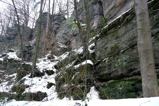 30.1.2009 - Eis und Schnee im Liebethaler Grund