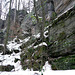 30.1.2009 - Eis und Schnee im Liebethaler Grund