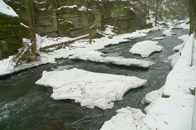 30.1.2009 - Eis und Schnee im Liebethaler Grund