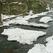 30.1.2009 - Eis und Schnee im Liebethaler Grund