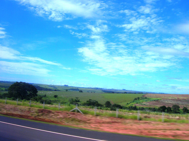DSCN5058