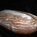 Basic Whole Wheat Bread 1