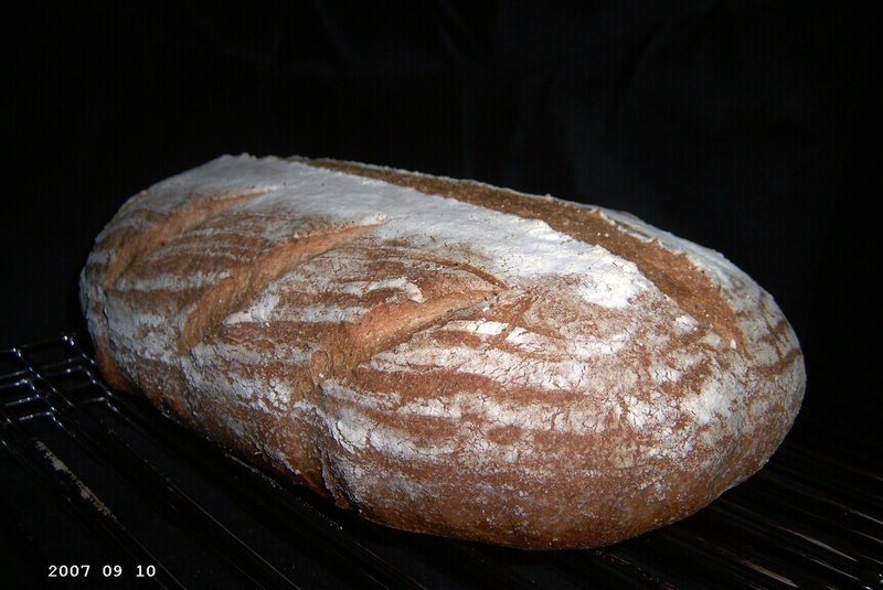 Basic Whole Wheat Bread 1