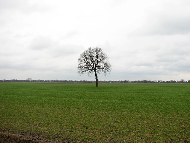 Einsam ?