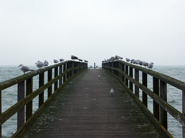 Zugeschissene Seebrücke