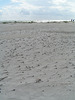 PICT0026