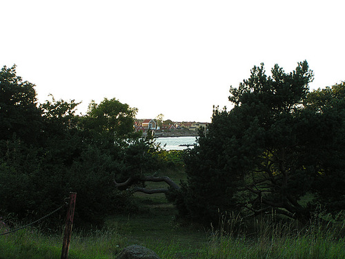PICT0058