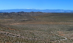 Johnson Valley (3928)