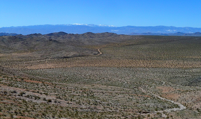 Johnson Valley (3928)