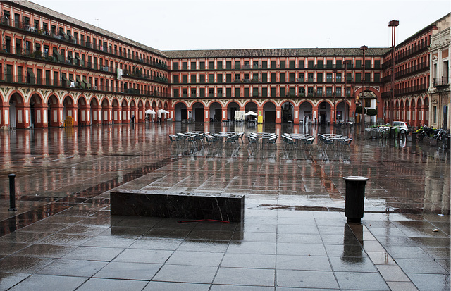 La luz de la lluvia