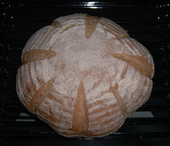 Pain au Levain 1