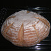 Pain au levain 2