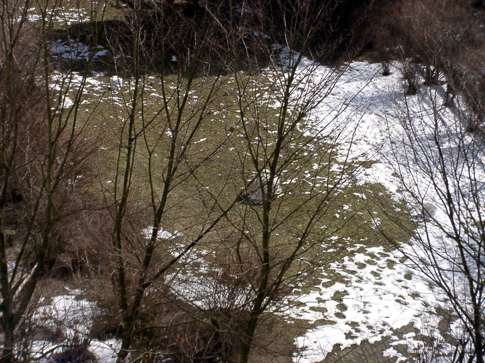 Snowmen in the spring