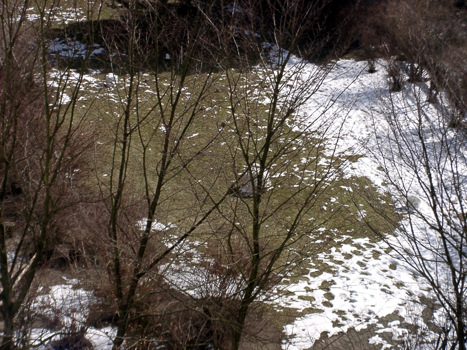 Snowmen in the spring