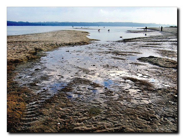 December Beach