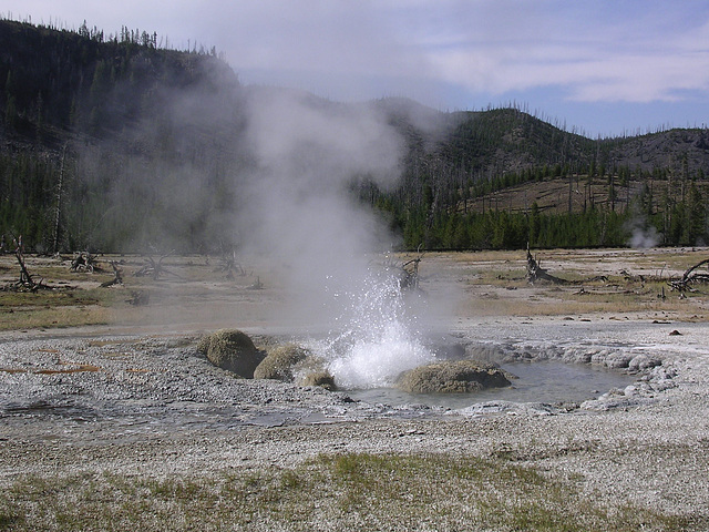 Geyser