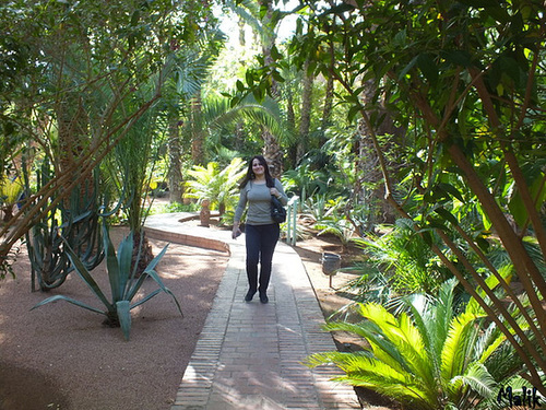 Jardin Majorelle..!