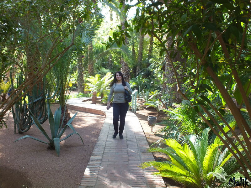 Jardin Majorelle..!