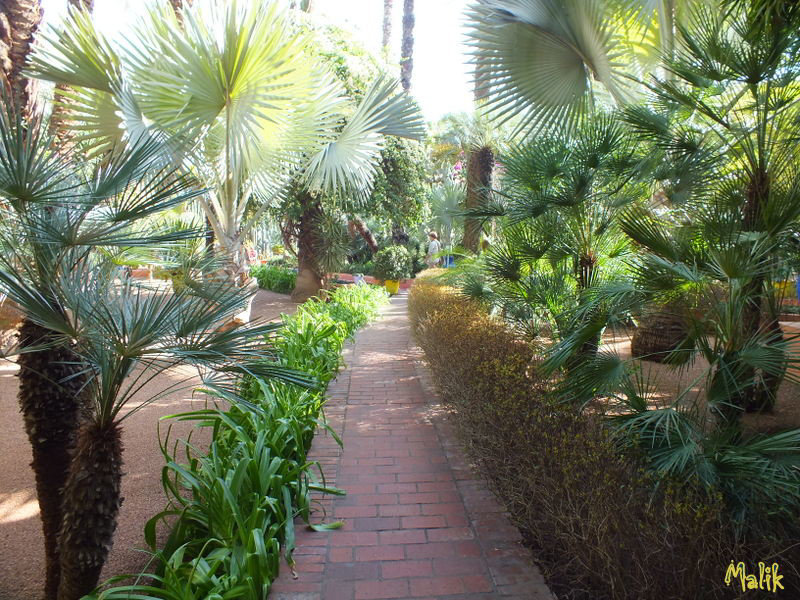 Jardin Majorelle..!