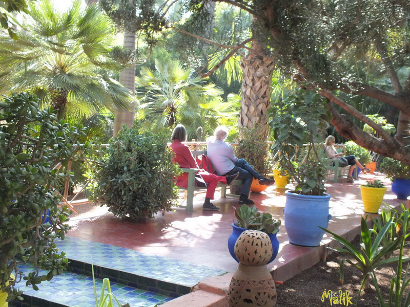 Jardin Majorelle..! HBM