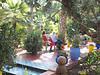 Jardin Majorelle..! HBM