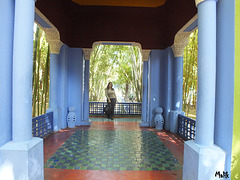 Jardin Majorelle..! HFF. Jardin Majorelle..! HFF.