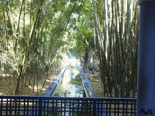 Jardin Majorelle..!