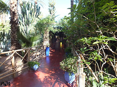 Jardin Majorelle a Marrakech Maroc..!