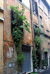 2007 11 - Rome - 0014