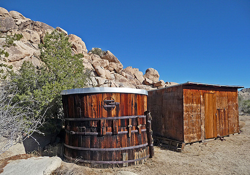Desert Queen Ranch (2547)