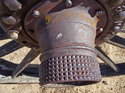 Desert Queen Ranch (2564)
