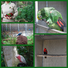 A Loro Parque Tenerife