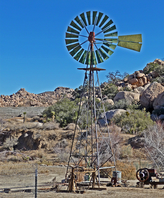 Desert Queen Ranch Windmill (2487)