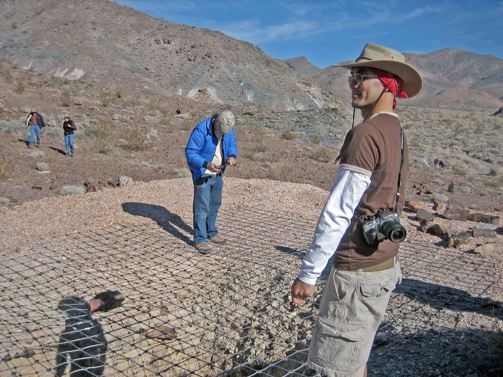 Echo Canyon Mine (8494)