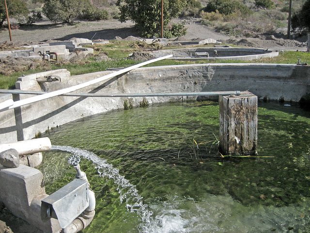 Whitewater Preserve (8921)