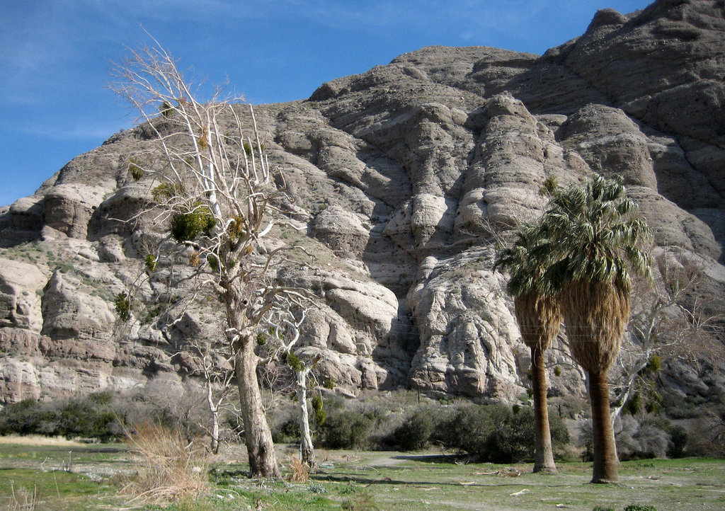 Whitewater Preserve (8924)