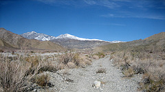 Whitewater Preserve (8927)