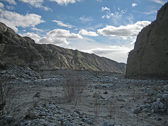 Whitewater Preserve (8931)