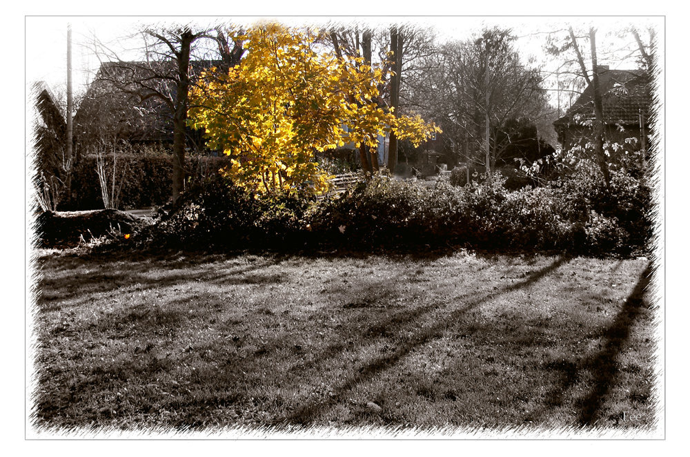 Herbst