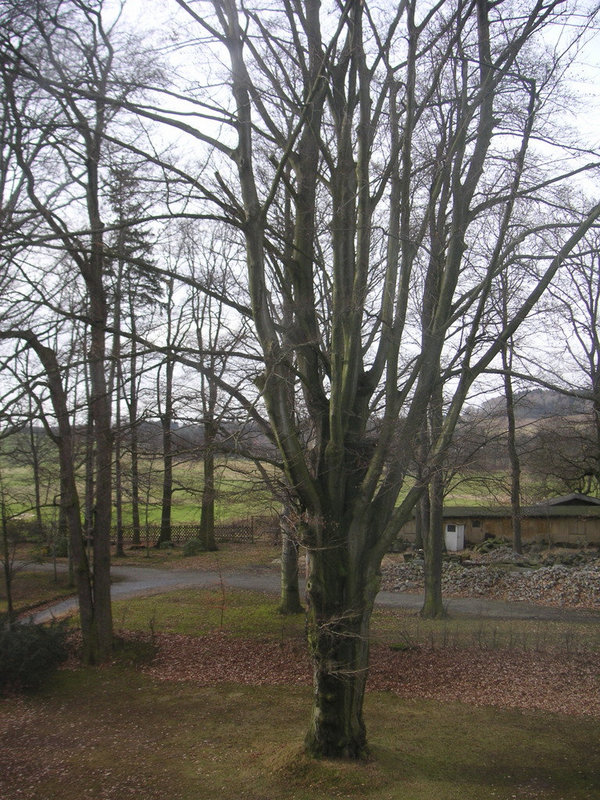 Foto 20080124 130252