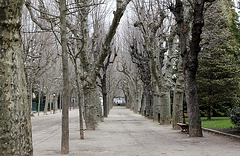 Allée périphérique